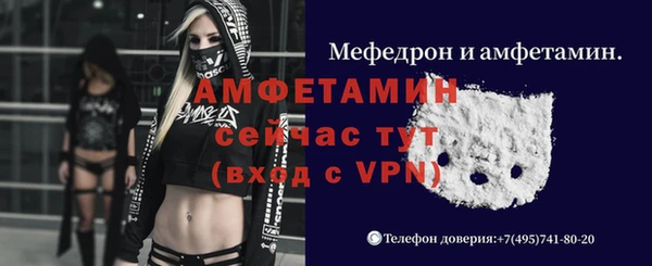 гидра Алексеевка