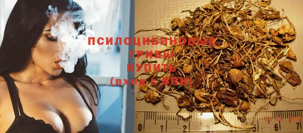круглые Рославль