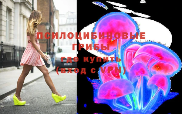 гидра Алексеевка