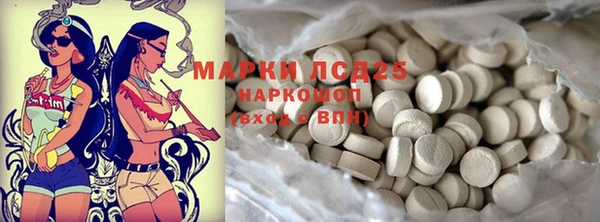 гидра Алексеевка