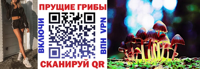 продажа наркотиков  Боровск  Галлюциногенные грибы Psilocybe 